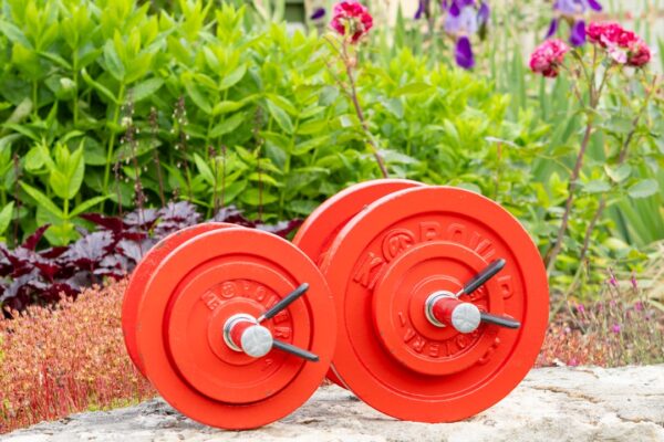 Optimér Din Træning Med Håndvægte: En Guide til Effektiv Fitness