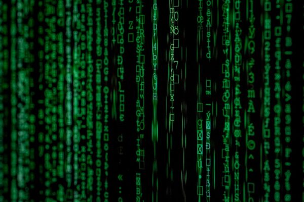 Betydningen af IT Support i Moderne Virksomheder