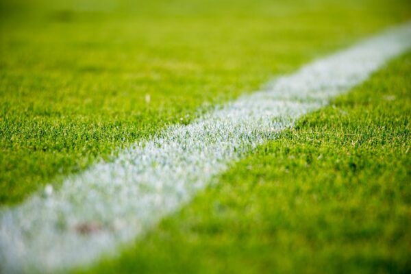 Opdag Det Seneste Inden for Fodboldverdenen med Fannews.dk