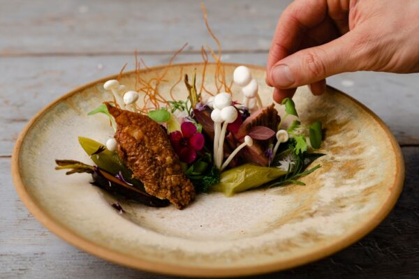 Tapas Fredericia: En Kulinarisk Oplevelse i Byens Hjerte