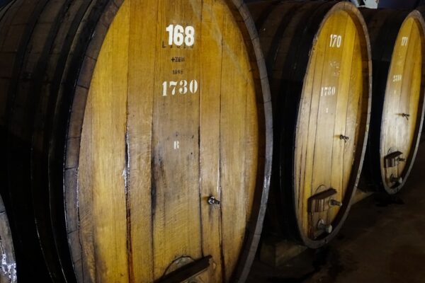 Optimal Vinopbevaring: Sådan Bevarer Du Kvaliteten