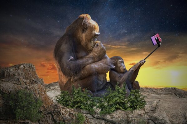 Selvbetjeningsboder: Den nye trend med selfie booth